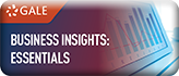 Business Insights: Essentials